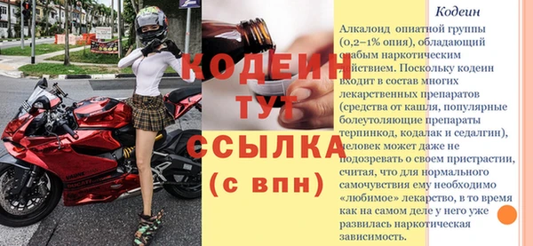 твердый Богданович