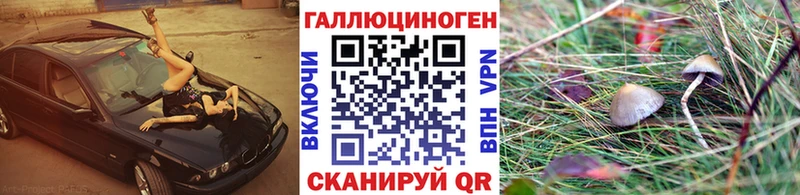 Псилоцибиновые грибы MAGIC MUSHROOMS  наркотики  MEGA ТОР  Меленки 